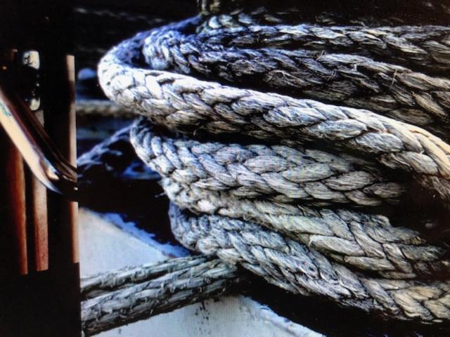 Schiff Ahoy, Hotelschiff, Hausboot, Boot, Passagierschiff Estugarda Exterior foto